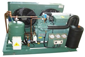 Cụm máy nén dàn ngưng bitzer giải nhiệt gió