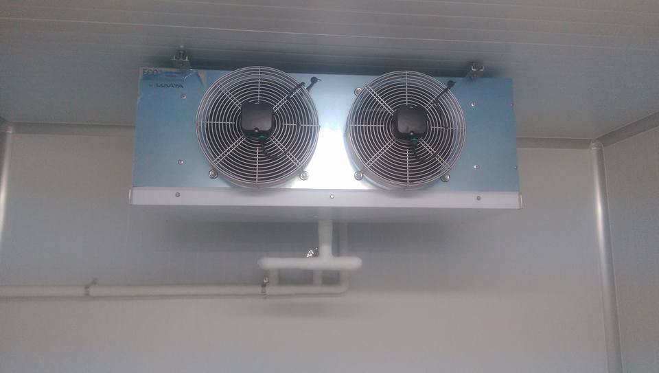 Dan-lanh-Eco-KT01.jpg Dan-lanh-Eco-KT01.jpg