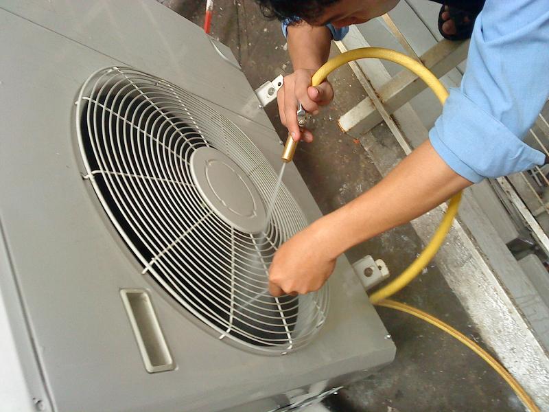 DSC00991.jpg DSC00991.jpg